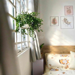 Căn Hộ Studio bancol - Gần Phan Văn Trị, ĐHVLcs3, UIH