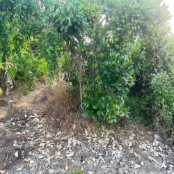 CHÍNH CHỦ CHO THUÊ ĐẤT GIÁ RẺ - RẤT PHÙ HỢP KINH DOANH KHO BÃI