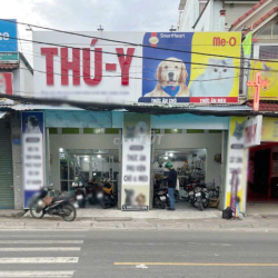 ✅Cho thuê nhà 2 tầng (8x35m) mặt tiền Quốc Lộ 50 xã Bình Hưng 25tr/th