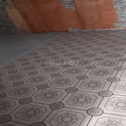 cho thue nhà nguyên  căn