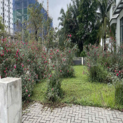 cho thuê căn hộ 1pn tại eco có nội thất