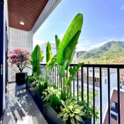 Cho thuê Penhouse gần đường Lý Thái Tổ view đẹp