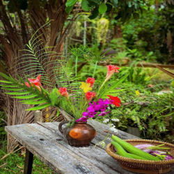AG Cho thuê homestay sân vườn đẹp gần biển – Bắc Nha Trang 🌴🏡