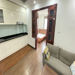CĂN HỘ 1K1N FULL ĐỒ SỐ 10 LA THÀNH NHỎ 48M2