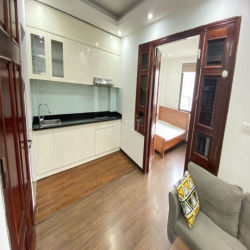 CĂN HỘ 1K1N FULL ĐỒ SỐ 10 LA THÀNH NHỎ 48M2