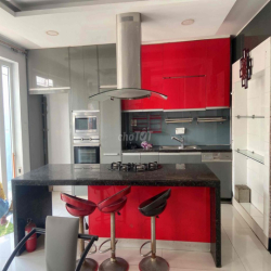 CHO THUÊ BIỆT THỰ SÂN VƯỜN 300M² – BÙI ĐÌNH TUÝ, BÌNH THẠNH GIÁ 2000$