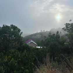 Cho Thuê Nhà và Đất 2.000m2