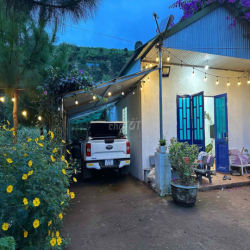 Cho Thuê Nhà và Đất 2.000m2