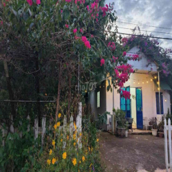 Cho Thuê Nhà và Đất 2.000m2