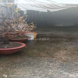 Cho thuê nhà phường Tân Chánh hiệp đường 07 hẻm thông xe tải nặng di