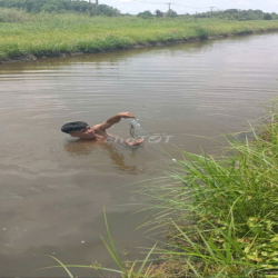 Cho thuê đất nông nghiệp. Xã Vĩnh Lộc