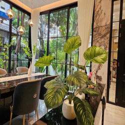 CHO THUÊ BIỆT THỰ VIP PHÚ MỸ HƯNG 5Pn- 175 triệu