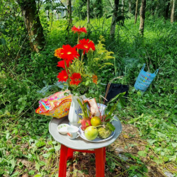 CHO THUÊ ĐẤT