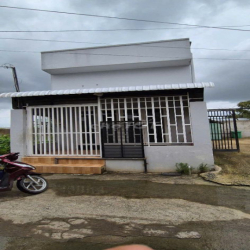 cho thuê nhà nguyên căn và đất 