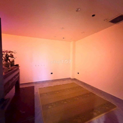 Cho thuê biệt thự P11