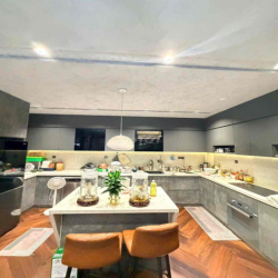 Cho thuê biệt thự P11