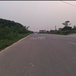 Cho thuê đất là nhà xưởng, kho bãi...