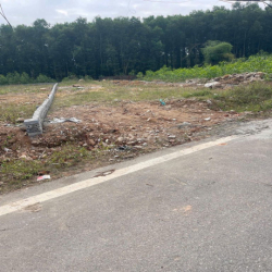 Cho thuê đất là nhà xưởng, kho bãi...