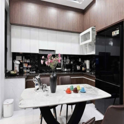 Cho thuê MT biệt thự mini 39B Trần Quý Khoách, P. Tân Định, Quận 1