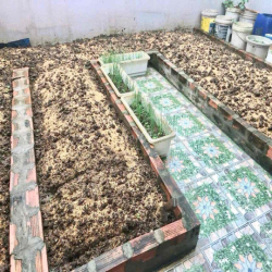 NHÀ PHỐ GẦN ECOGREEN HẦM 3 LẦU 4PN