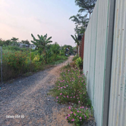 Hẻm xe hơi Đất nông nghiệp DTSD:500m² gồm nhà lá + đất WC điện nước ĐĐ