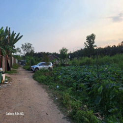 Hẻm xe hơi Đất nông nghiệp DTSD:500m² gồm nhà lá + đất WC điện nước ĐĐ