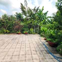 Cần bán nhà có vườn bưởi