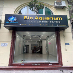 Cho thuê tầng 1 làm cửa hàng hoặc văn phòng phố Nguyễn Văn Lộc,Hà Đông