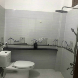 Cho thuê nhà MT 64B Hoa Lan, P2, Q. Phú Nhuận