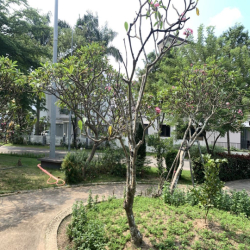 Cho thuê nhà phố Eco Xuân giá rẻ 14tr/ tháng. Đầy đủ nội thất 3PN 3WC