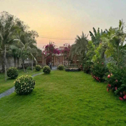 Chủ kí gửi căn nhà 500m giá 2xx còn thương lượng