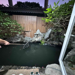 Cho thuê biệt thự khu tên lửa đường số 13 C full nội thất giá 60tr