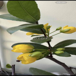 căn hộ thoáng, đẹp, tầm nhìn xa, yên tĩnh