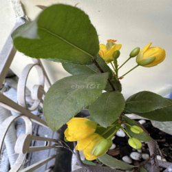 căn hộ thoáng, đẹp, tầm nhìn xa, yên tĩnh