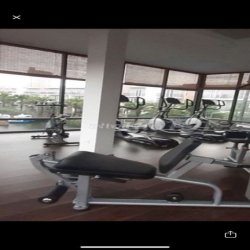 Căn hộ 55m, Shophouse110m máy lạnh,máy giặt,bếp riêng,ban công siêu to