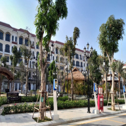 GIÁ TỪ 6TR/THÁNG – THUÊ NHÀ VINHOMES OCEAN PARK 2 & 3