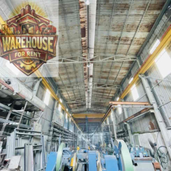 CHO THUÊ MB - KHO XƯỞNG (500m2, điện 3Fa)-MT ĐƯỜNG CHÍNH - P.TÂN TRIỀU