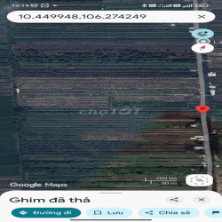 Đất trồng cây lâu năm 16 tr / năm