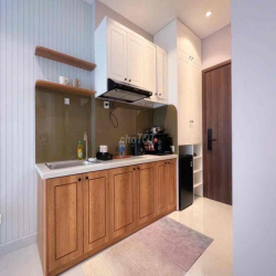 Cho thuê căn cứ hộ 1PN giá chỉ 8 triệu tại Sunrise Riverside