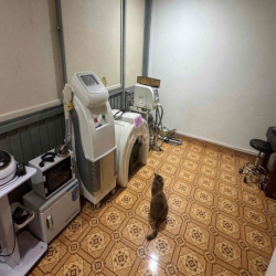 sang mb hoặc sang toàn bộ tiệm