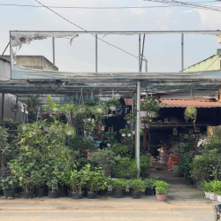 CHỦ CHO THUE MẶT TIỀN 6x25 NGUYỄN DUY TRINH Q9