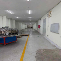 Cho Thuê Kho Xưởng 1/ QL 22 Tân Thới Nhì Hóc Môn