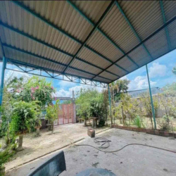 vợ bị ung thư chủ cần bán nhà vườn