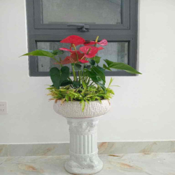 cho thuê nhà kiệt trần cao vân