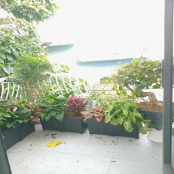 cho thuê nhà kiệt trần cao vân