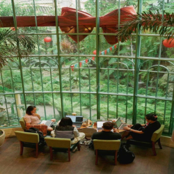 VILLA CỰC PHẨM CÓ SÂN VƯỜN CẦN CHO THUÊ  Q1