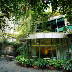 VILLA CỰC PHẨM CÓ SÂN VƯỜN CẦN CHO THUÊ  Q1