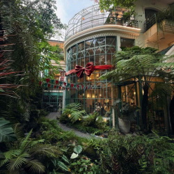 VILLA CỰC PHẨM CÓ SÂN VƯỜN CẦN CHO THUÊ  Q1