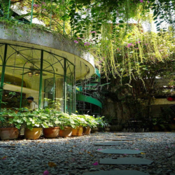 VILLA CỰC PHẨM CÓ SÂN VƯỜN CẦN CHO THUÊ  Q1