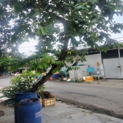 nhà xưởng mặt tiền gần chợ XTT tiện buôn bán kinh doanh